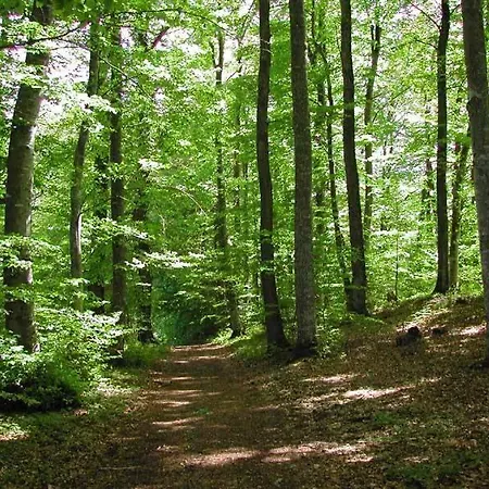 Le Paddock Couette-café 3*