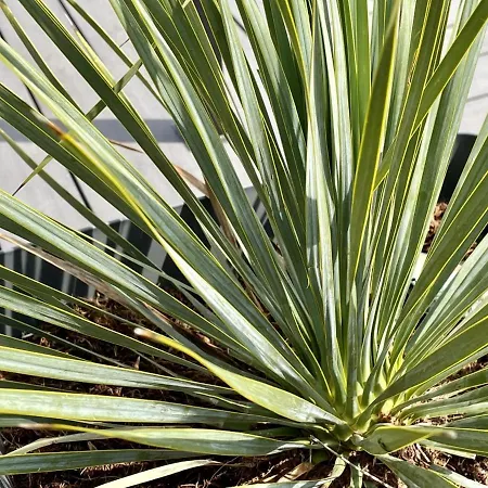 Le Paddock Couette-café 3*