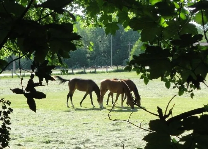 住宿加早餐酒店 Le Paddock - Et Table D'hotes Le Déluge