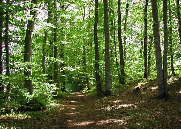 Le Paddock - Et Table D'hotes 住宿加早餐酒店 3*