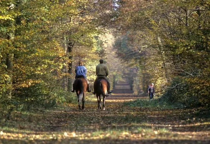 Le Paddock - Et Table D'hotes 住宿加早餐酒店 3*